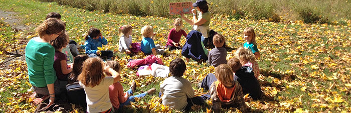 丛林法则教育孩子,让小孩了解丛林法则