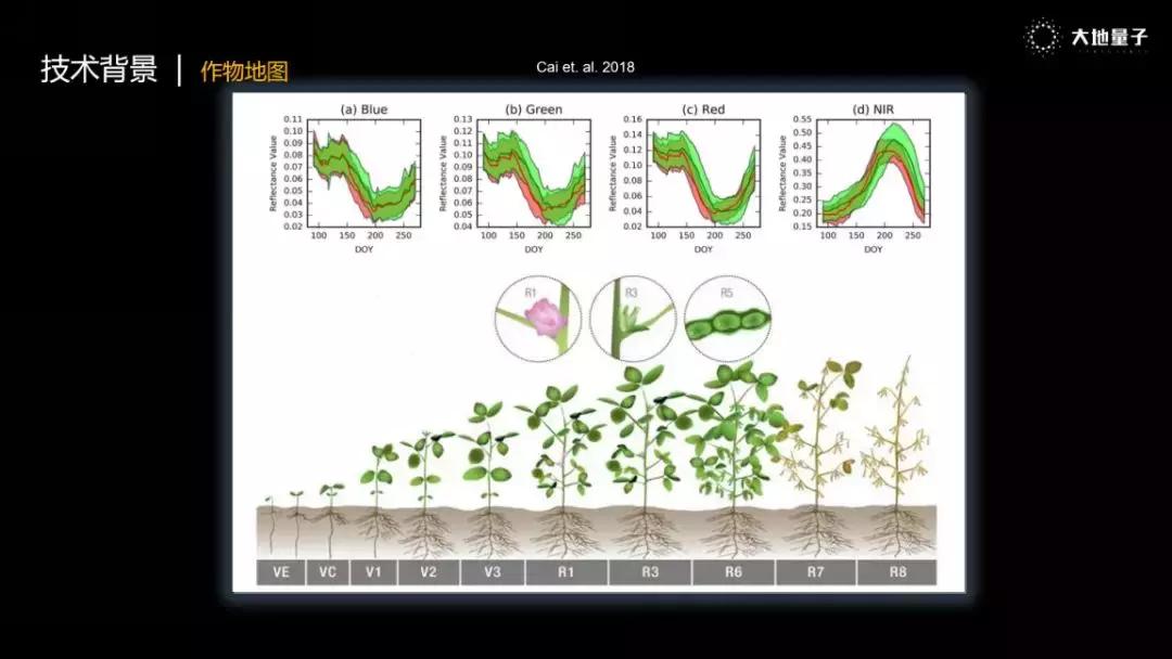 大地发布会,大地量子王驰