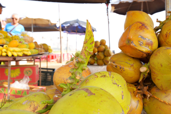 财源茂盛达三江的三江指哪里,财源广进达三江的三江是什么意思