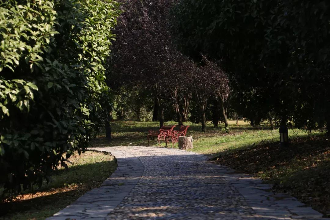 安徽13所一本大学名单,安徽省高校简介