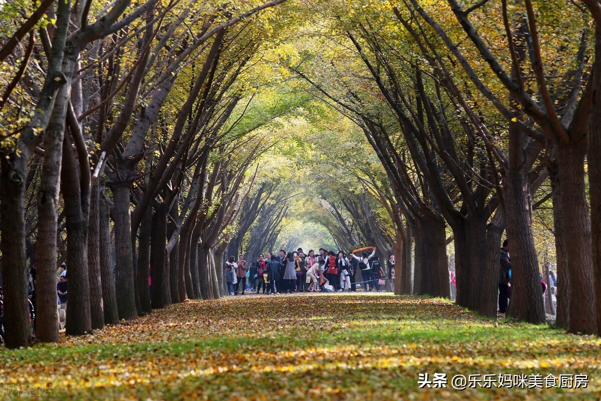秋果吃多了会怎么样,常吃秋果有什么好处