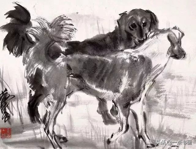 名家画狗速写作品欣赏,国画各种狗的画法