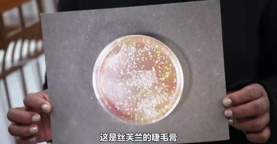 口红别人使用过的会携带细菌吗,专柜口红试用装会传染疾病吗