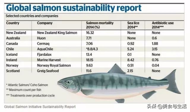 挪威三文鱼怎么挑新鲜,你吃的三文鱼是三文鱼吗