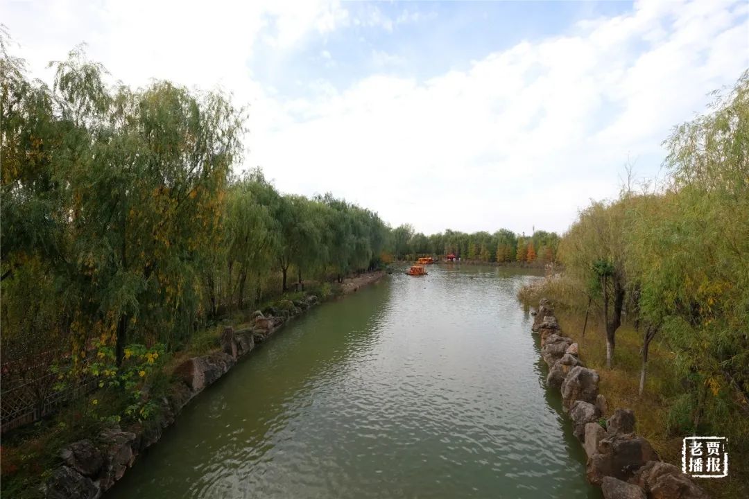洛阳一大型网红公园免费开放,洛阳湿地公园网红打卡地