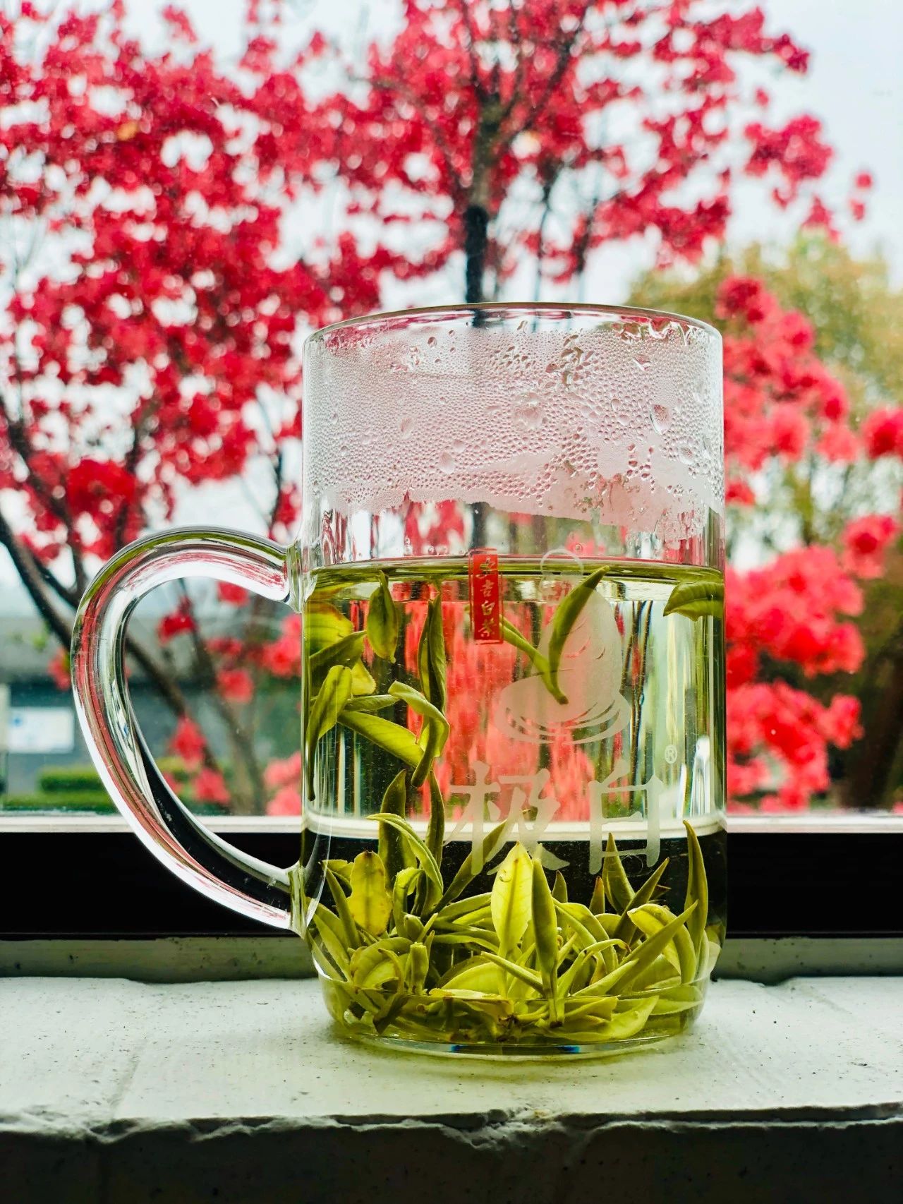 浙江最值得去的13家亲子酒店,安吉最赞的亲子酒店