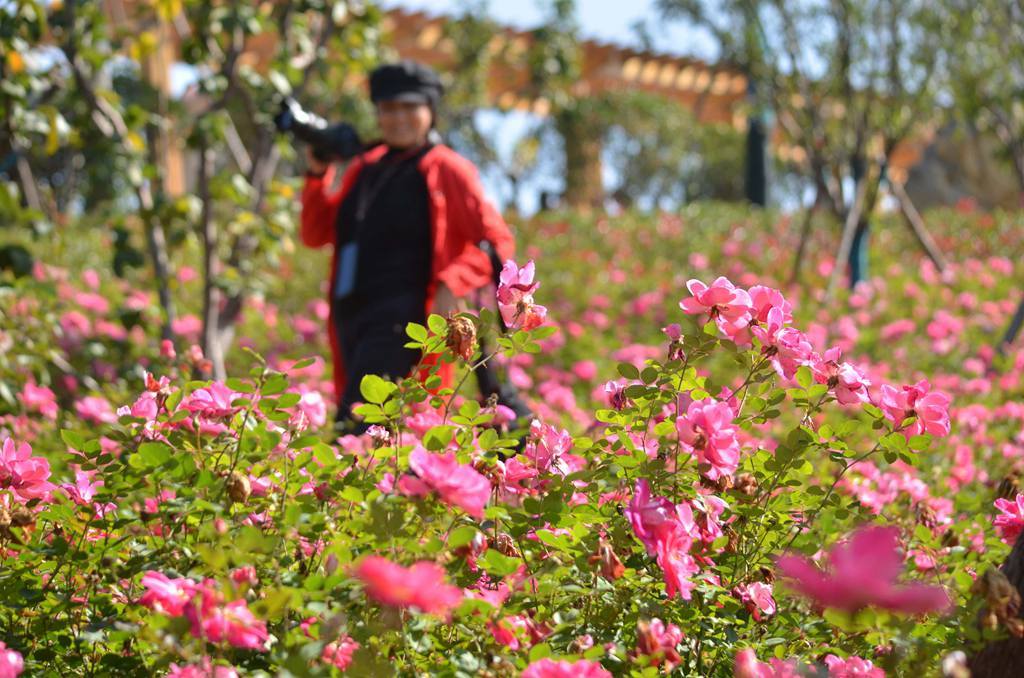 济源滨湖花园燃气,济源思礼镇滨河花园