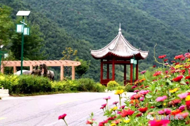 我叫成县，这是我2019年的自拍照~