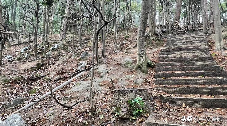 越来越嚣张了怎么办,越来越嚣张怎么解决