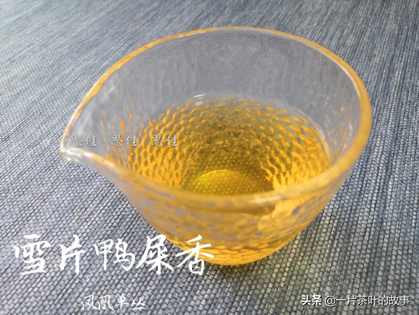 凤凰单枞鸭屎香是名茶吗,凤凰单枞鸭屎香什么样的好