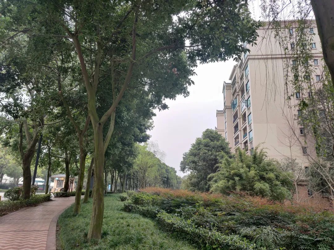 它用14年时间，造就了天府新区第一“孤城”