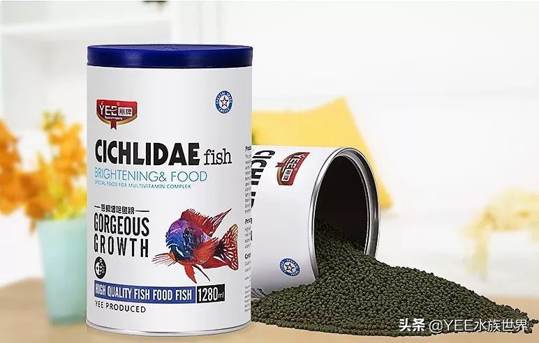 鱼开口喂料注意事项视频,新鱼不吃上浮饲料怎么办