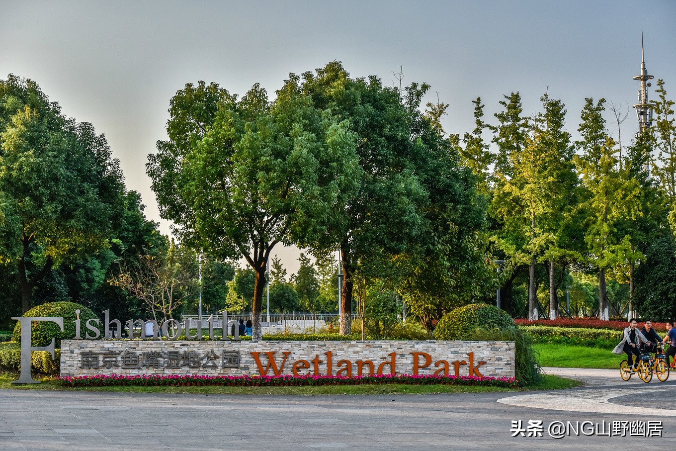 江苏南京:明明可以靠网红上头条,却偏偏靠实力说话