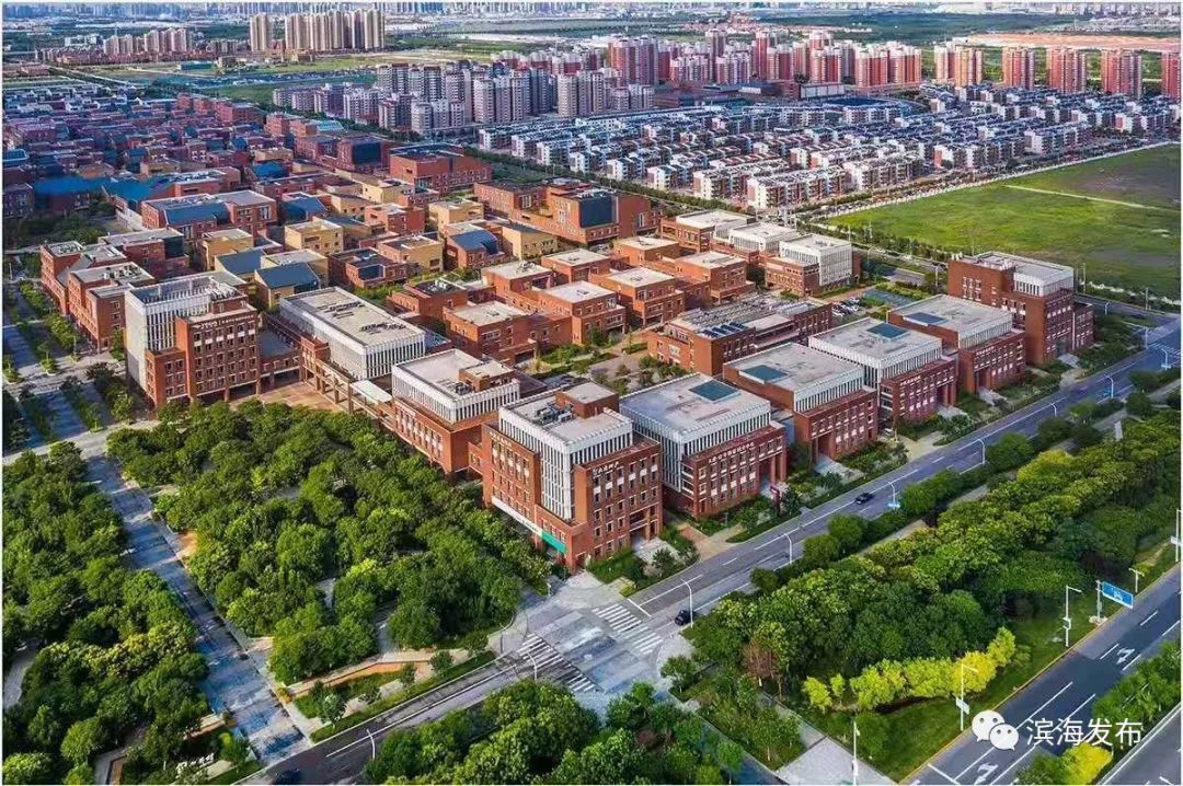 滨海新区最强镇,滨海新城有多厉害