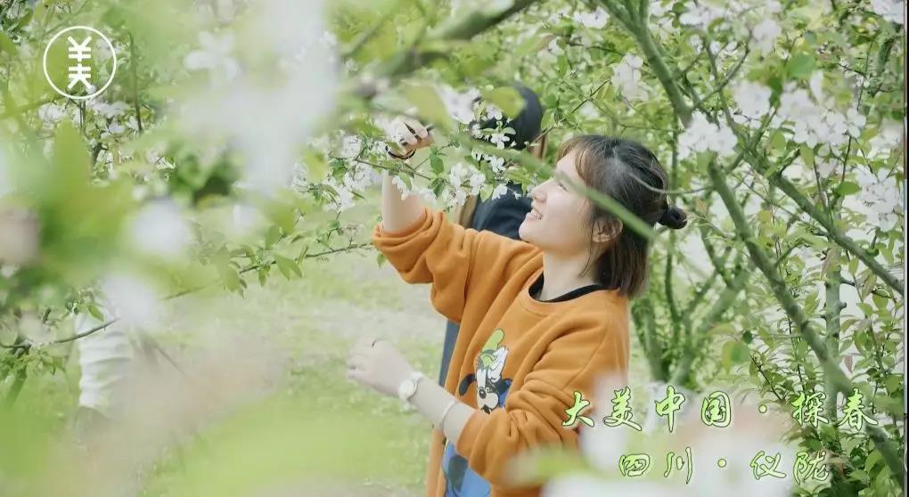 仪陇县新闻联播,仪陇县新闻联播视频