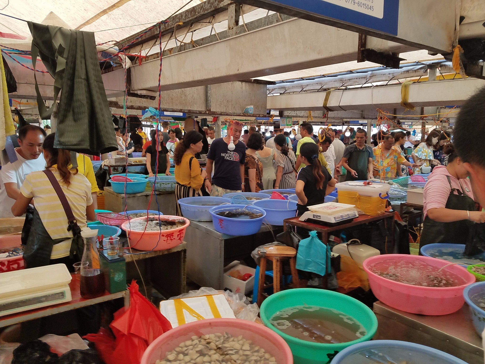 海鲜市场猫腻多购买海鲜需谨慎,买海鲜应该这样买才不会上当