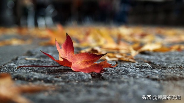 微视拍摄技巧教学视频,微视频拍摄手机技巧