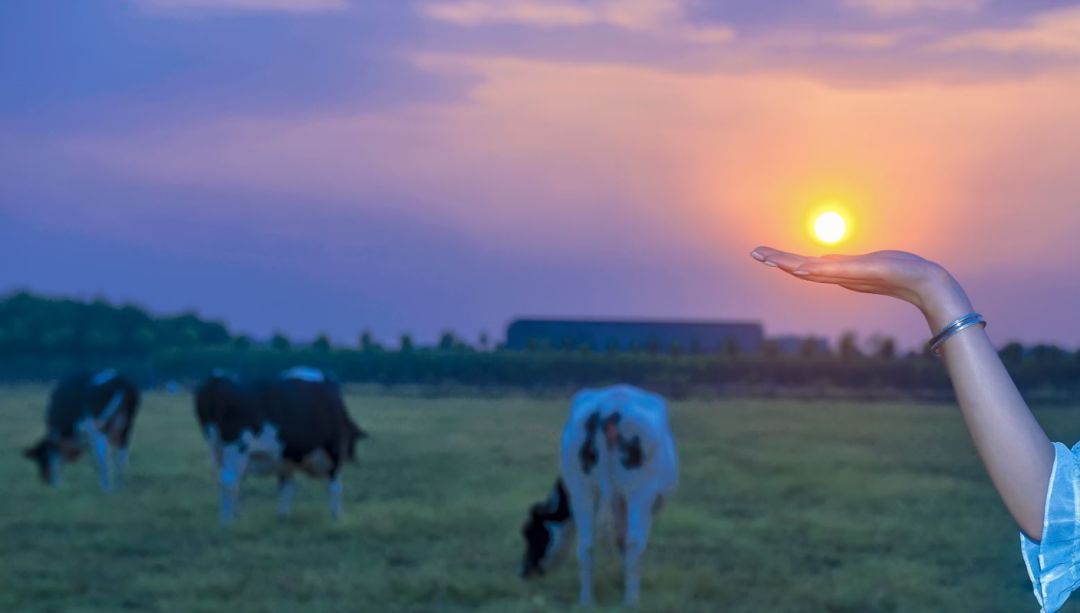 良安祥和庄园,古城祥和庄园