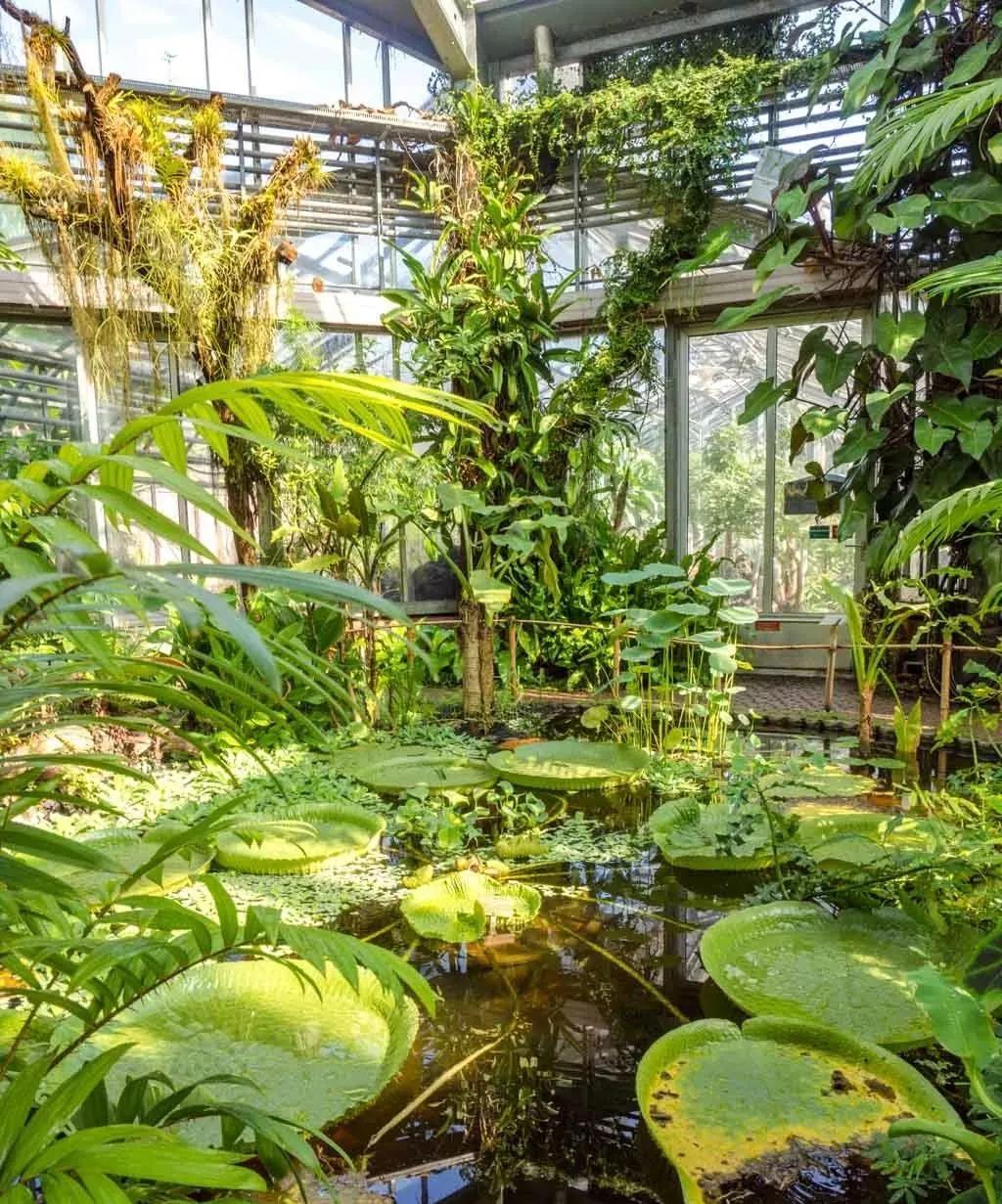 瑞士旅游攻略你想知道的都在这里,瑞士银行旅游