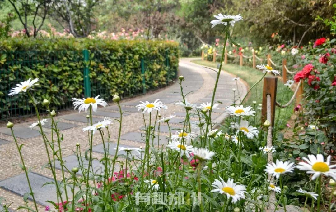 郑州地铁五号线游玩攻略秋季,郑州地铁与5号线沿途有哪些景点