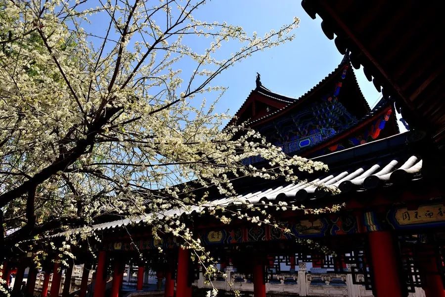 木府云南丽江,木府风云