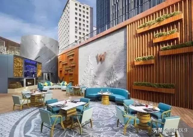 上海可带宠物入住的酒店推荐,怎么选宠物友好酒店房间