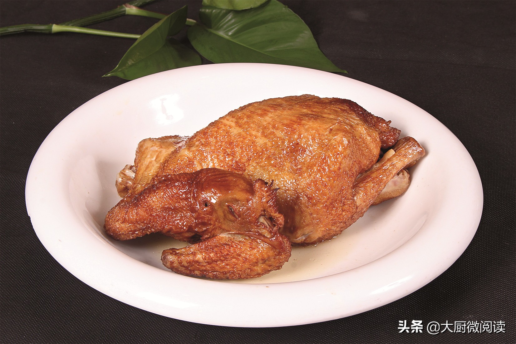 四大名鸡绝密配方,中国四大名鸡种排名