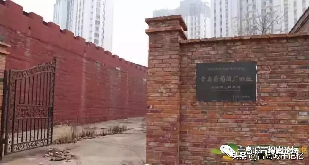 四十年前的青岛葡萄酒,青岛知名葡萄酒