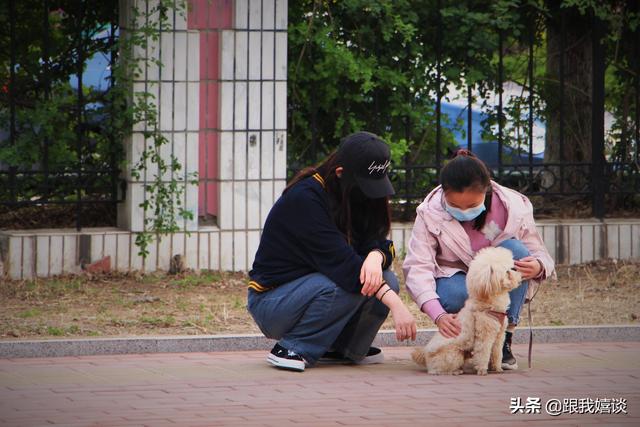 安全力护航开学首日,保障开学安全措施