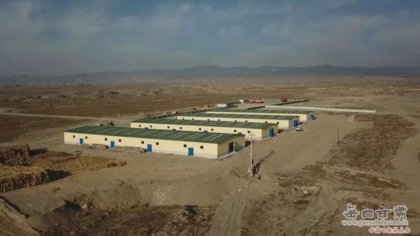 甘肃毛驴养殖,甘肃毛驴养殖基地