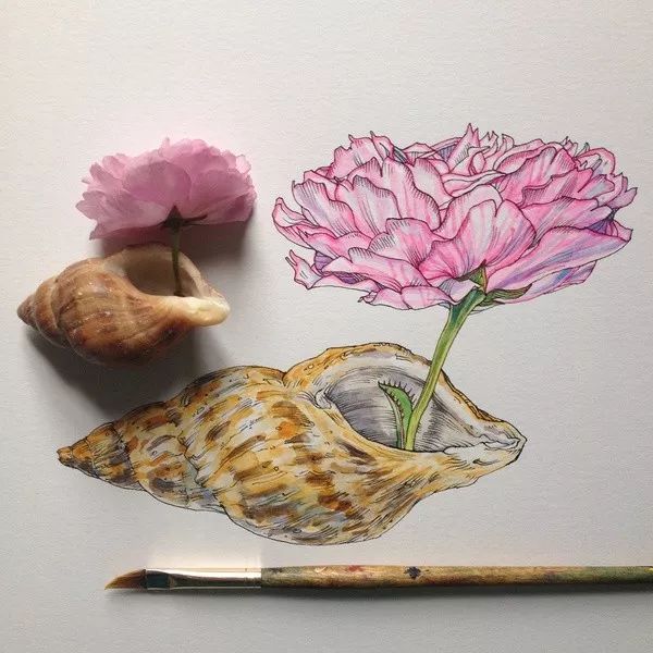 简单针管笔手绘花,简单易学针管笔手绘