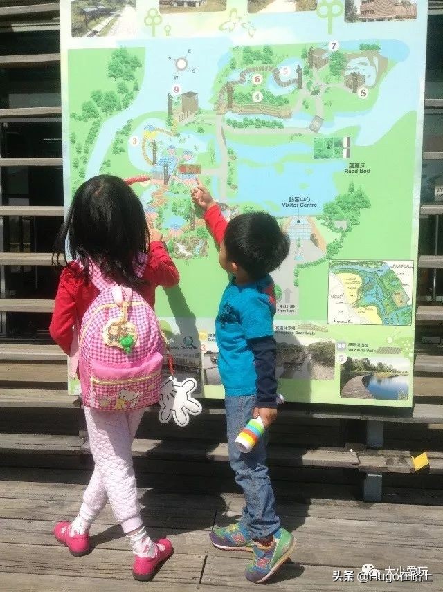 香港亲子游图文攻略图片大全,香港亲子游最佳路线图