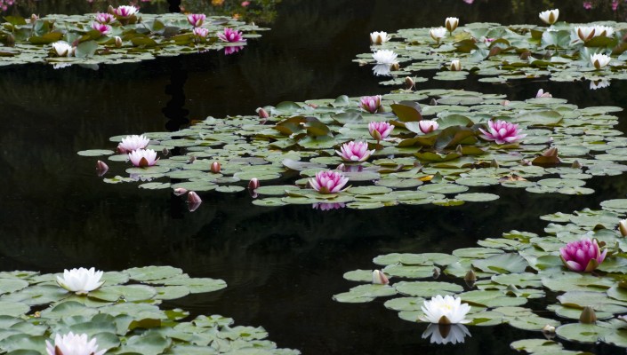 ps浜斿僵浜戠鍦烘櫙鍚堟垚鏁欑▼,娓旇埞ps璋冭壊鏁欑▼