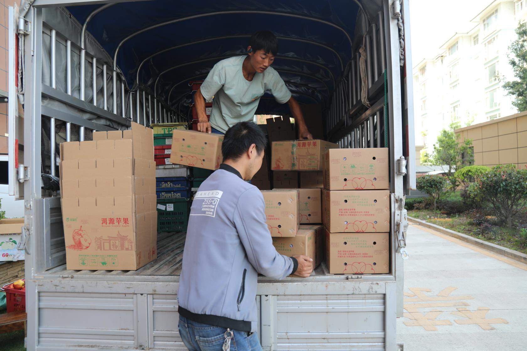 从星星之火到燎原之势视频,从星星之火到遍地开花