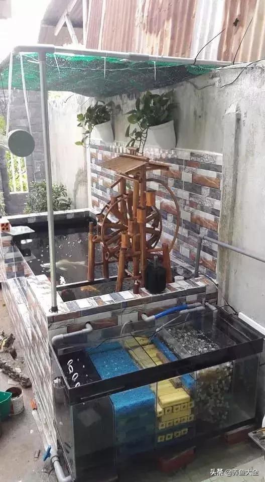 建一个锦鲤池要多少钱,园林锦鲤池建造