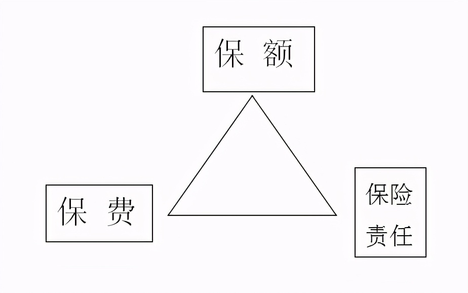通透的聊聊保险
