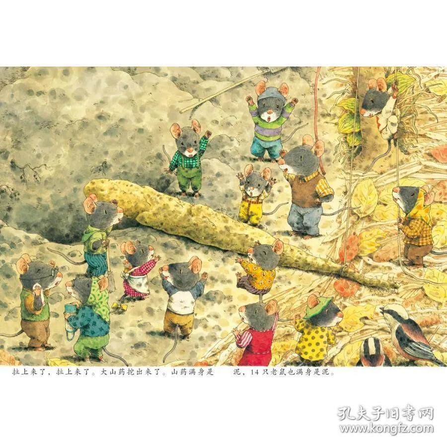14只老鼠绘本系列,14只老鼠挖山药绘本