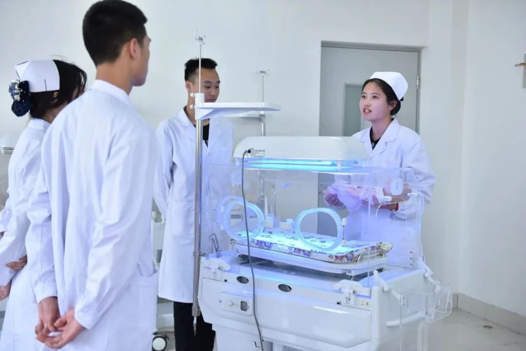 青岛黄海学院官网招生章程,青岛黄海学院2023招生简章章程