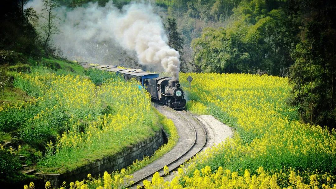太美了开往春天的列车,这些开往春天的列车简直美呆了