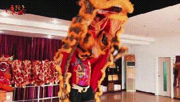 真功夫舞狮表演视频,真功夫舞狮表演团