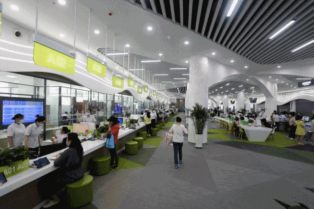 便民服务中心启用,服务大厅操作指南