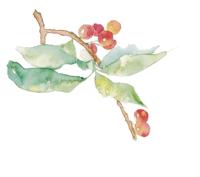 黑龙江龙奕建筑佳木斯招聘,黑龙江建筑职业技术学院招聘公告