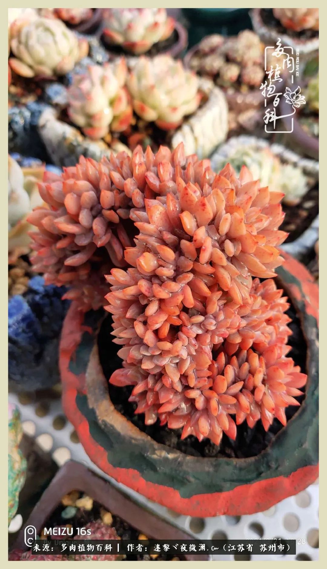 秋尽冬来岁月不居时节如流,岁月不居时节如流水