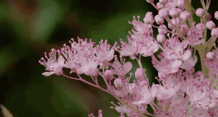 为了别人的孩子操碎了自己的心,为了孩子为了家操碎了心