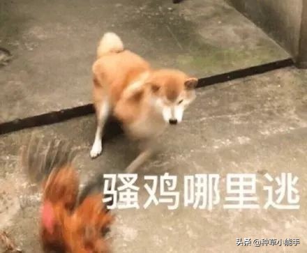 lamer哪款好用,lamer好用吗