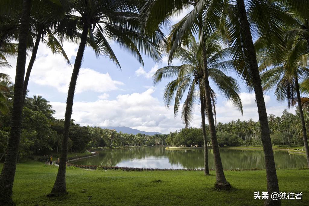 热带植物的百科全书，匪夷所思的植物王国，兴隆热带植物园