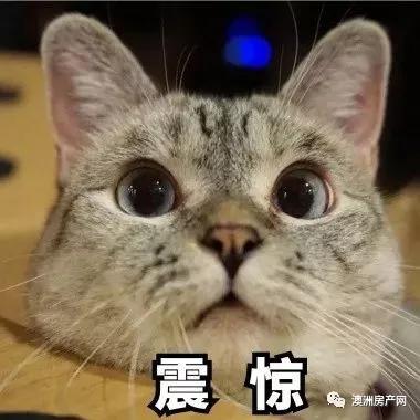 澳门免税店事件,澳洲免税店坑人吗