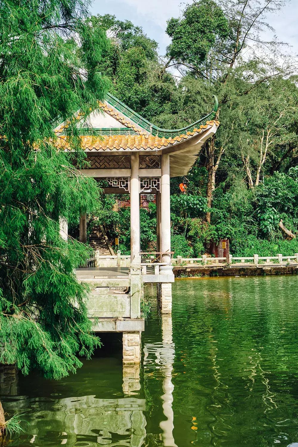 深圳银湖山游玩,深圳银湖有什么好玩的地方