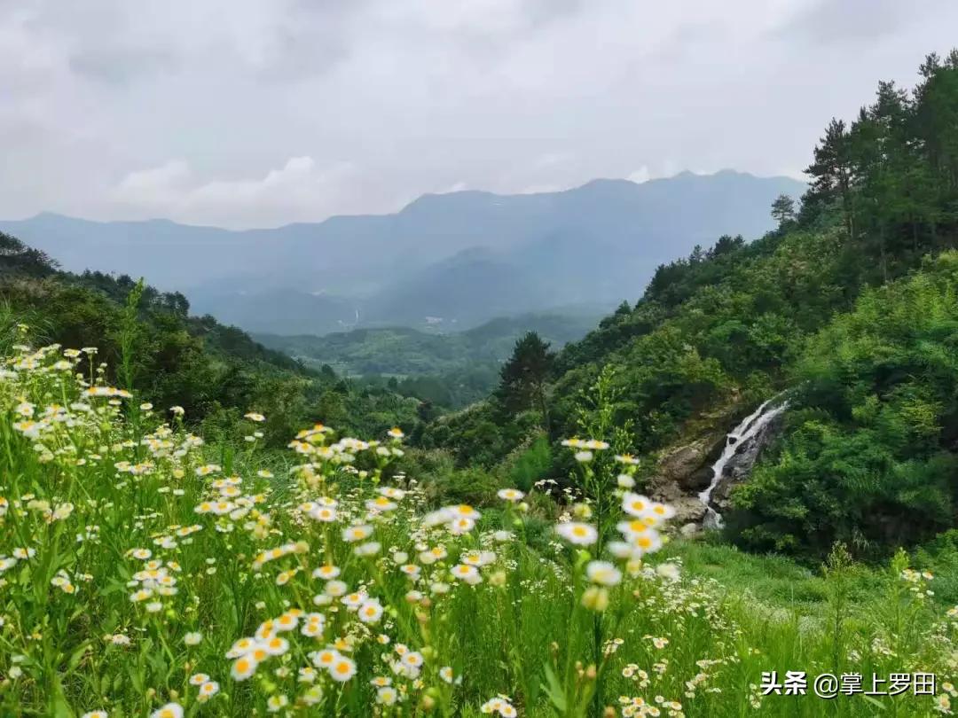 梦里是江南水乡，没曾想，却恋上罗田这个村