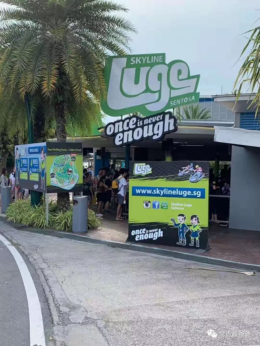 十一新加坡,十一游学新加坡